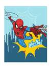 Plaid in Coral SPIDERMAN 100x150