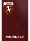 Slip uomo TORINO - 6 Pezzi - B2TO11051